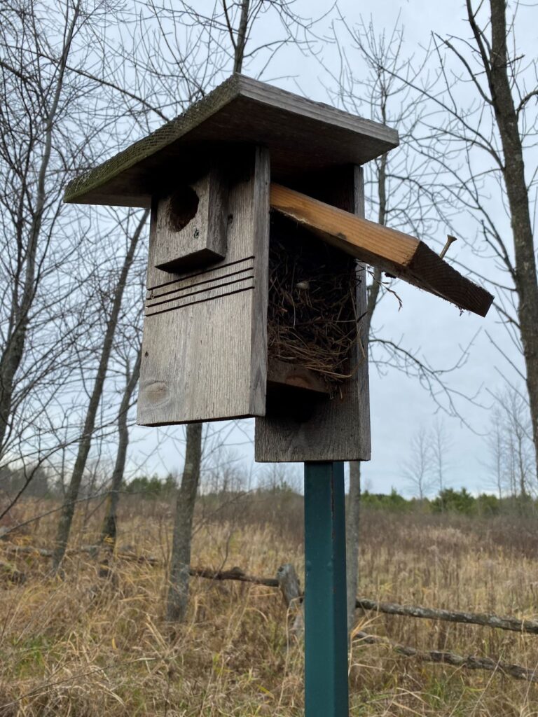 Bluebird & Swallow Nestbox